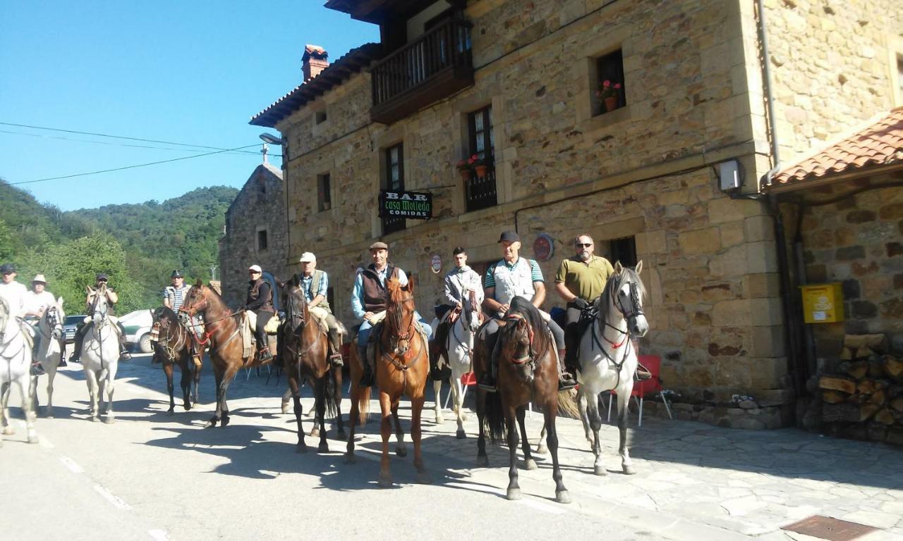 Posada Casa Molleda Pejanda Eksteriør billede